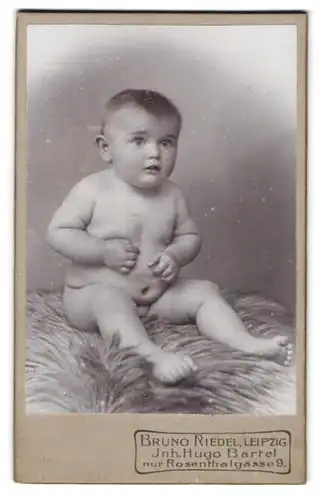 Fotografie Bruno Riedel, Leipzig, Rosenthalgasse 9, Portrait niedliches Baby auf einem Fell