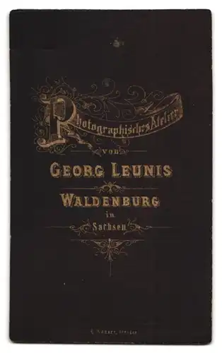 Fotografie Georg Leunis, Waldenburg i. S., Portrait Dame im zeitgenössichen Kleid