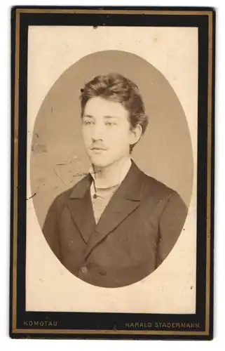 Fotografie Harald Stadermann, Komotau, Rossmarkt 428, Portrait hübscher junger Mann im Anzug
