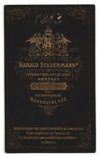 Fotografie Harald Stadermann, Komotau, Rossmarkt 428, Portrait eleganter junger Herr mit Oberlippenbart