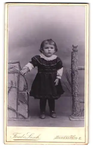 Fotografie Friedr. Lasch, Hohenstein-E., Lungwitzer-Str. 16, Portrait niedliches kleines Mädchen im Kleid