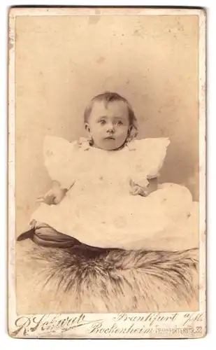 Fotografie R. Schwab, Frankfurt a. M.-Bockenheim, Frankfurterstr. 33, Portrait niedliches Baby im Hemdchen