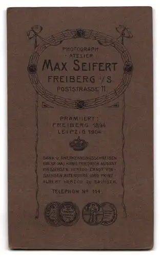 Fotografie Max Seifert, Freiberg i. S., Poststr. 11, Portrait junge Frau im edlen Kleid