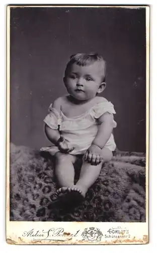 Fotografie L. Penzel, Görlitz i. Sch., Schützenstr. 2, Portrait entzückendes Kleinkind auf einem Fell