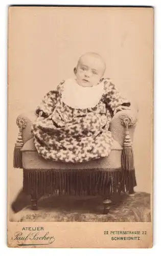 Fotografie Paul Sacher, Schweidnitz, Peterstr. 22, Portrait Baby im Samtkleidchen