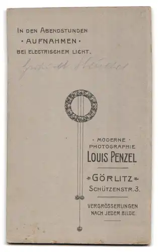 Fotografie Louis Penzel, Görlitz, Schützenstr. 3, Portrait pausbäckiges Kleinkind auf einem Fell