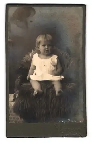Fotografie Willy Schroers, Lehrte, Portrait niedliches propperes Kleinkind auf einem Fellsessel