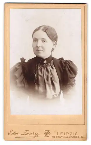 Fotografie Edm. Zwarg, Leipzig, Rosenthalgasse 5, Portrait freundliche bürgerliche Dame in edler Bluse