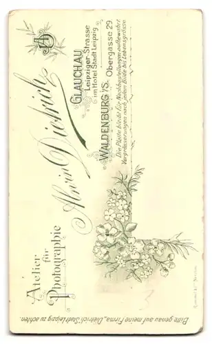 Fotografie A. Dietrich, Glauchau, Hotel Stadt Leipzig, Portrait hübsche junge Dame im edlen Kleid