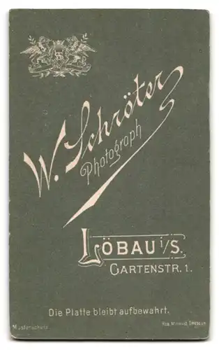 Fotografie W. Schröter, Löbau i. S., Gartenstrasse 1, Portrait Knabe im Anzug mit Fliege