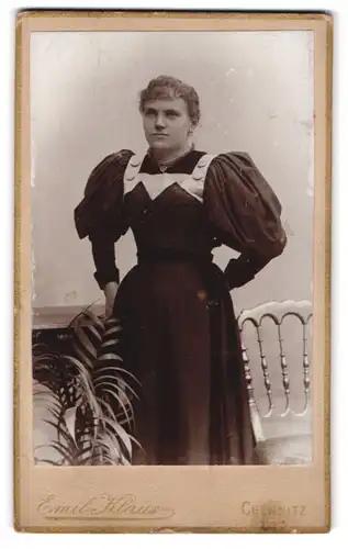 Fotografie Emil Klaus, Chemnitz, Reitbahnstr. 22, Portrait junge Dame in modischem Kleid mit Puffärmeln