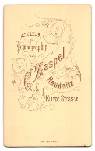 Fotografie C. Zaspel, Reudnitz, Kurze Strasse, Portrait bürgerliche Dame mit Flechtfrisur und Kragenschleife