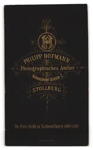 Fotografie Ph. Hofmann, Stollberg, Hohensteiner Str. 2, Portrait Frau im zeitgenössischem Kleid mit Buch