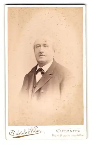 Fotografie Dietrich & Witte, Chemnitz, Poststr. 31, Portrait älterer Herr im Anzug mit Krawattentuch