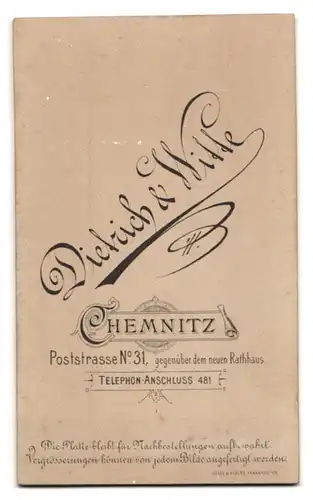 Fotografie Dietrich & Witte, Chemnitz, Poststr. 31, Portrait älterer Herr im Anzug mit Krawattentuch
