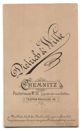 Fotografie Dietrich & Witte, Chemnitz, Poststr. 31, Portrait bürgerliche Dame mit Brosche