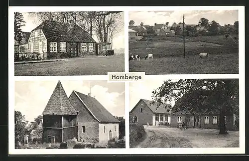 AK Hamberge, Strassenpartie mit Gebäudeansicht, Ortspartie mit weidenden Kühen, Kirche