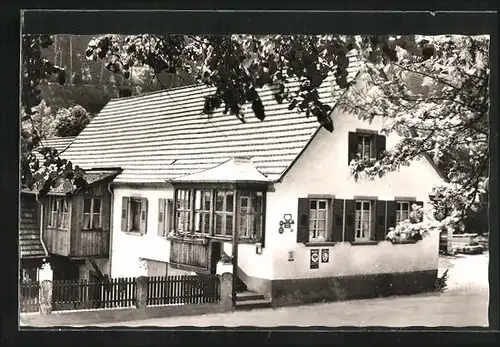 AK Bad Bergzabern a. d. Weinstrasse, Gasthof Augspurger Mühle