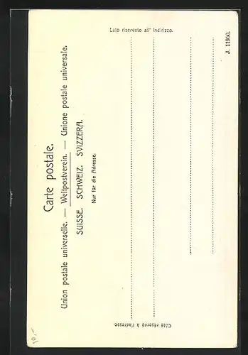 AK Schaffhausen, Rheinquai, Schaffhauser Intelligenzblatt