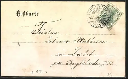 AK Reinfeld i. Holst., Neue Strasse, Bahnhof, Strassenpartie mit Geschäften