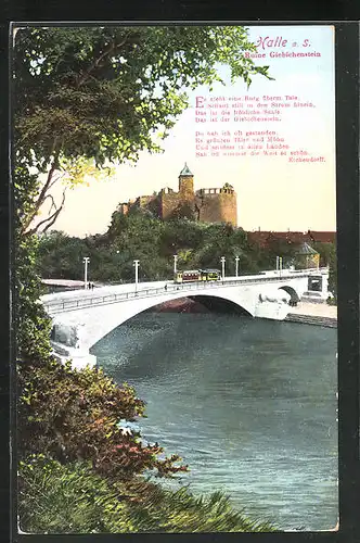 AK Halle a. S., Flusspartie mit Ruine Giebichenstein