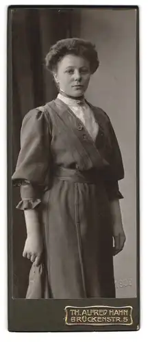 Fotografie Th. Alfred Hahn, Chemnitz, Brückenstrasse 5, Portrait hübsche junge Dame im modischen Kleid