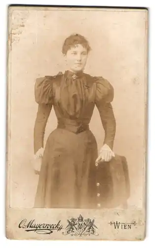 Fotografie O. Mayerweck, Wien, Dreihufeisengasse 2, Portrait junge hübsche Dame im edlen Kleid