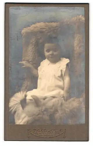Fotografie Walther Rost, Walsheim, Portrait niedliches pausbäckiges Baby auf einem Fell