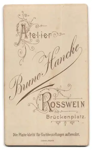 Fotografie Bruno Hancke, Rosswein, Brückenplatz, Portrait elegante junge Dame mit Fächer