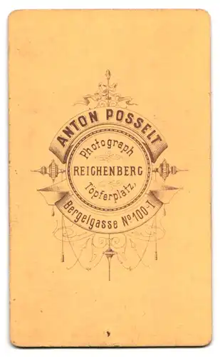 Fotografie Anton Posselt, Reichenberg, Töpferplatz, Portrait bürgerliche Dame im edlen Kleid