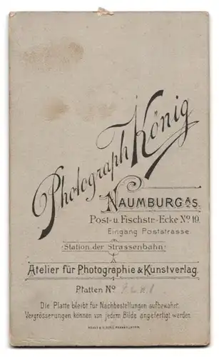 Fotografie Carl König, Naumburg a. S., Post- u. Fischstr., Portrait junge hübsche Dame in edler Bluse