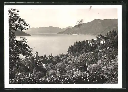 AK Brissago /Lago Maggiore, Ortsansicht mit Brenscino
