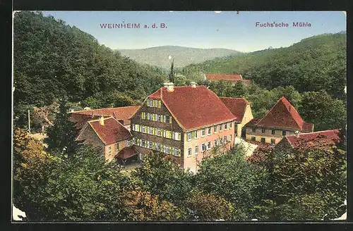 AK Weinheim a. d. B., Fuchs`sche Mühle