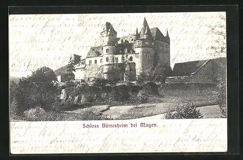 AK Mayen, Schloss Bürresheim