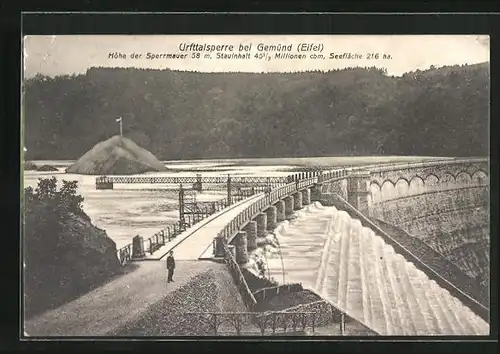 AK Gemünd /Eifel, Blick auf Urfttalsperre