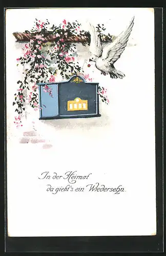 AK Brieftaube am Briefkasten