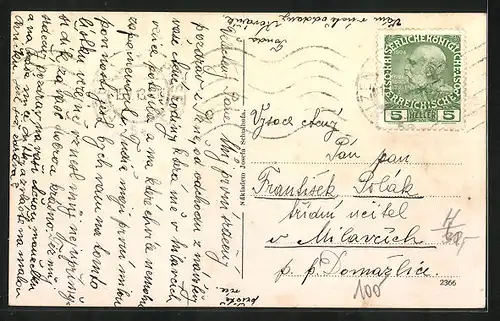 AK Pilsen /Plzen, Stepanovy sady a divadlo