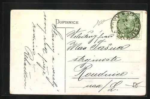 AK Klatovy, Panorama