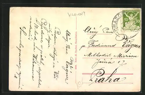 AK Horazdovice, Celkovy pohled