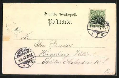 Lithographie Wiesbaden, Gasthaus Loesch`s Weinstuben, Spiegelgasse 4