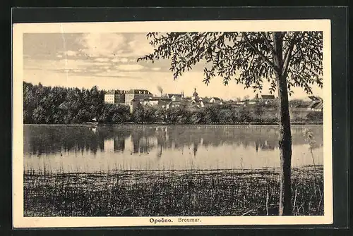 AK Opocno, Broumar