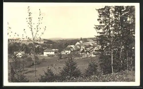 AK Slatina nad Zdobnicí, Celkový pohled