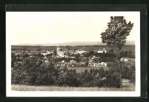 AK Adler Kosteletz / Kostelec nad Orlici, Celkový pohled