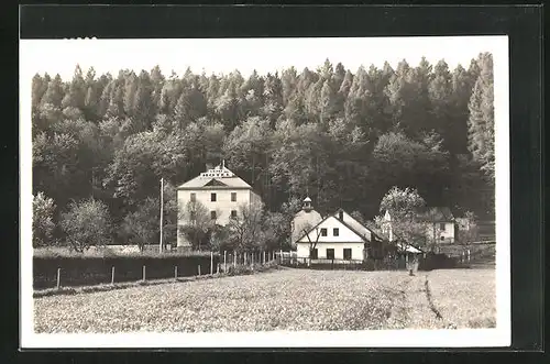 AK Adler Kosteletz / Kostelec nad Orlici, Lesní hotel u Kaplicky