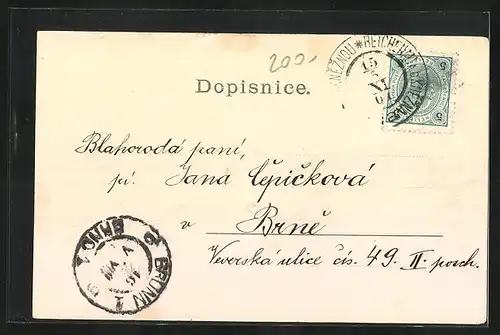 AK Rychnov n. Kn., Celkový pohled