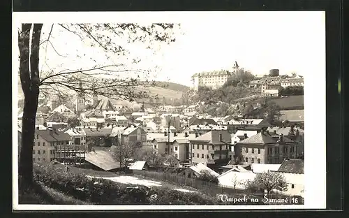 AK Vimperk na Sumave, Celkový pohled