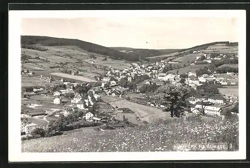 AK Vimperk na Sumave, Celkový pohled