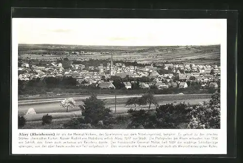 AK Alzey, Gesamtansicht