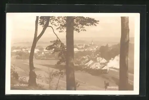 AK Hermanuv Mestec, Celkový pohled