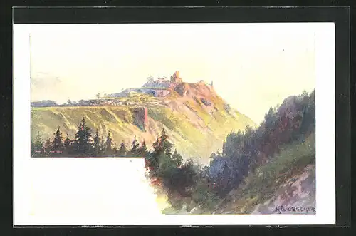 Künstler-AK Lichnice, Celkový pohled